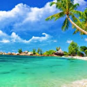 Meet your Posher, Teresa